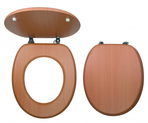 Toilet seat